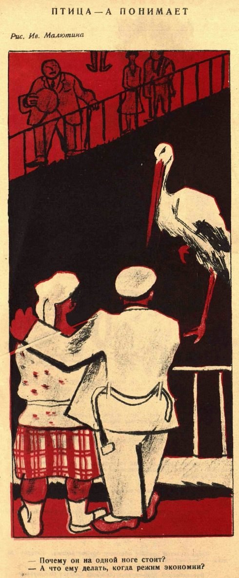 Карикатура Ивана Малютина «Птица — а понимает», 1926