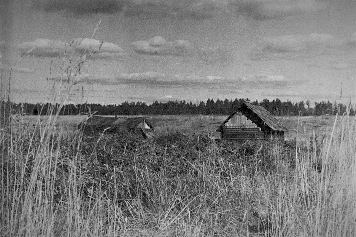 Деревня Чернушки в 1944 году: две уцелевшие избы посреди заросшего поля